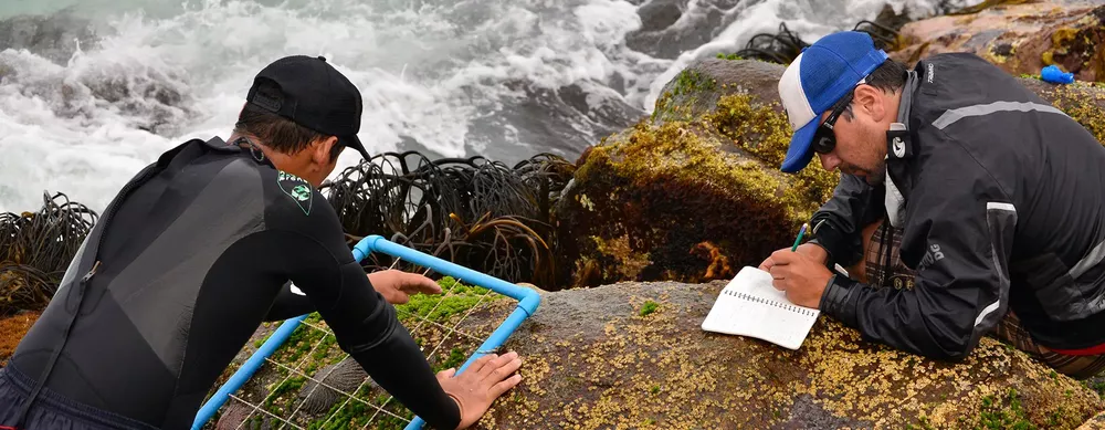 ceaza tomando nota plantas desalinisadoras