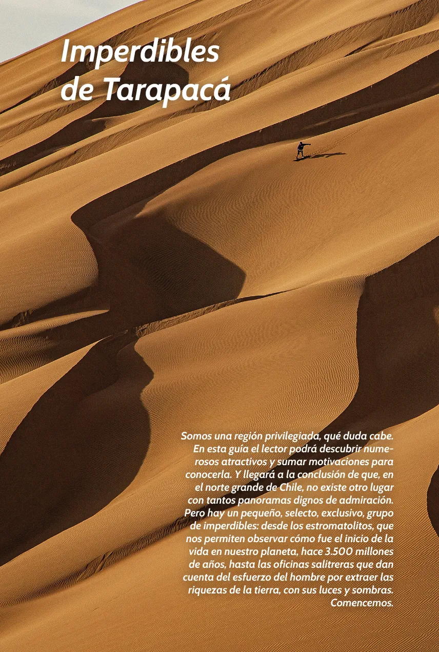Guía Turística de Tarapacá 2023-2025 - página13
