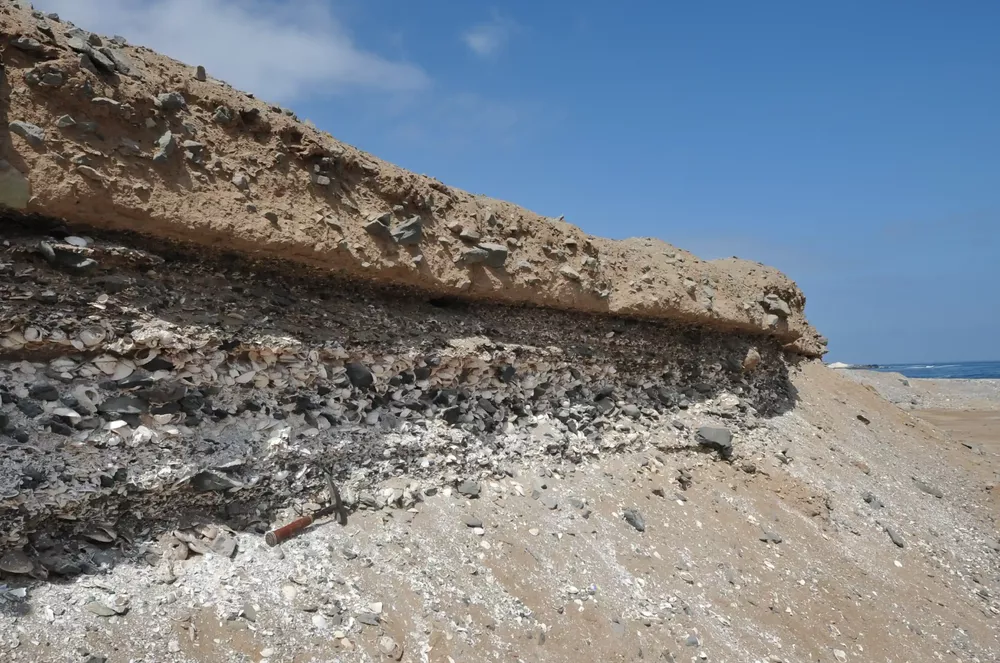 Terremoto y tsunami norte grande 5