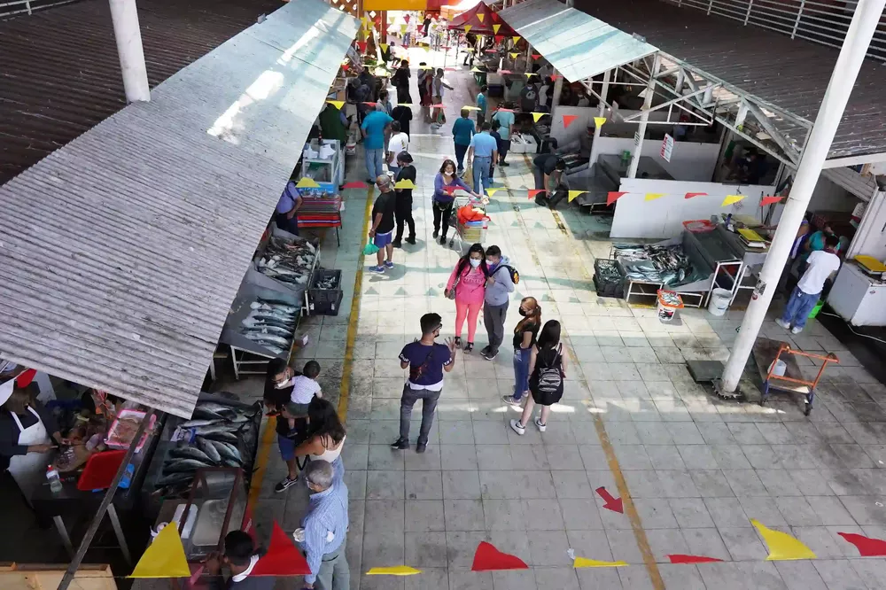 pesca y acuicultura reinaldo