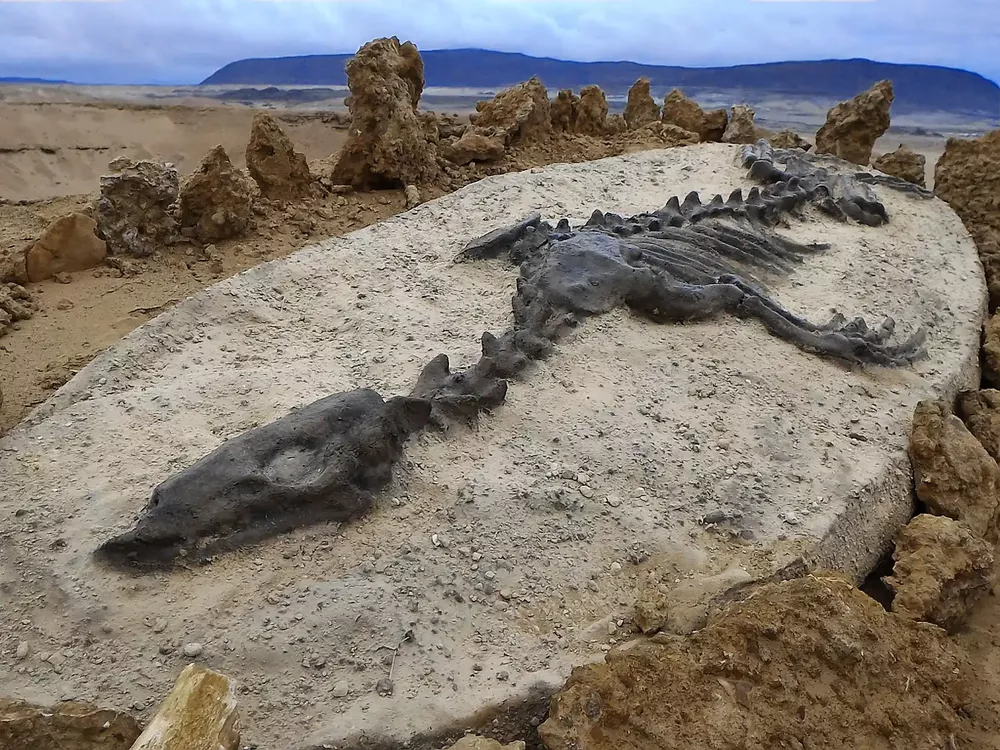 Parque paleontológico Los dedos 2
