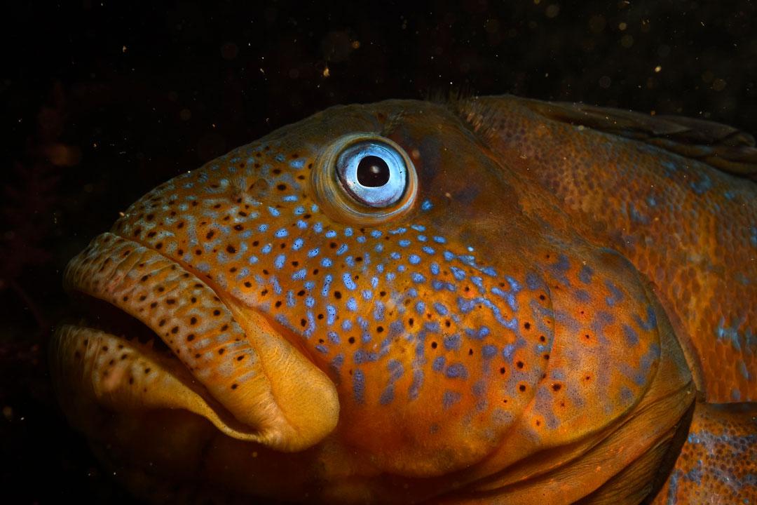 Playa-Blanca-humedal-urbano-Pablo-Guerrero-2