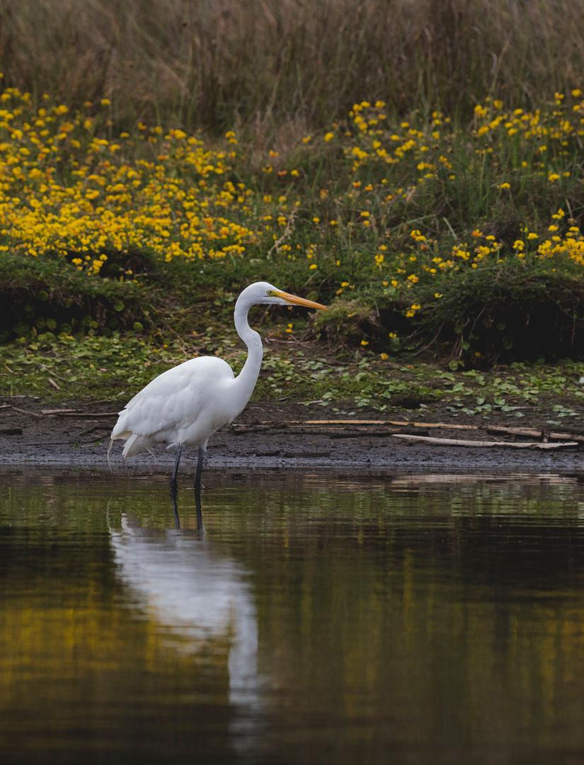 fotografias-de-humedales-2