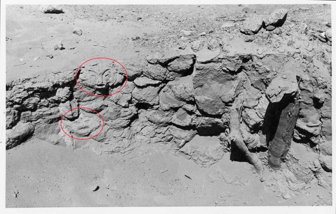 GUATACONDO-en-la-Guerra-Fría-2