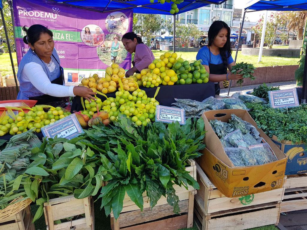 Mercado Campesinio Foto: Gentileza de INDAP