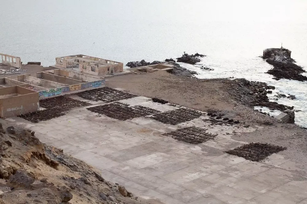 Estudio salud sobre el oceano 2