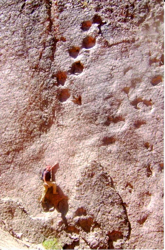 Parque Jurásico de Huatacondo 3