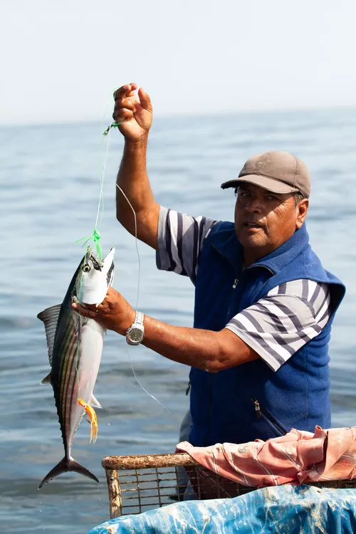 Estudio salud sobre el oceano 4