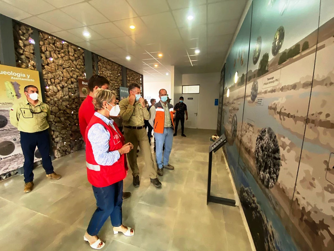 Cedam Salar de LLamara (8)