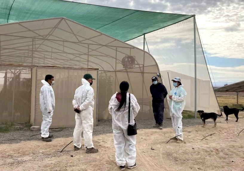 agricultura bajo soga tarapaca 8