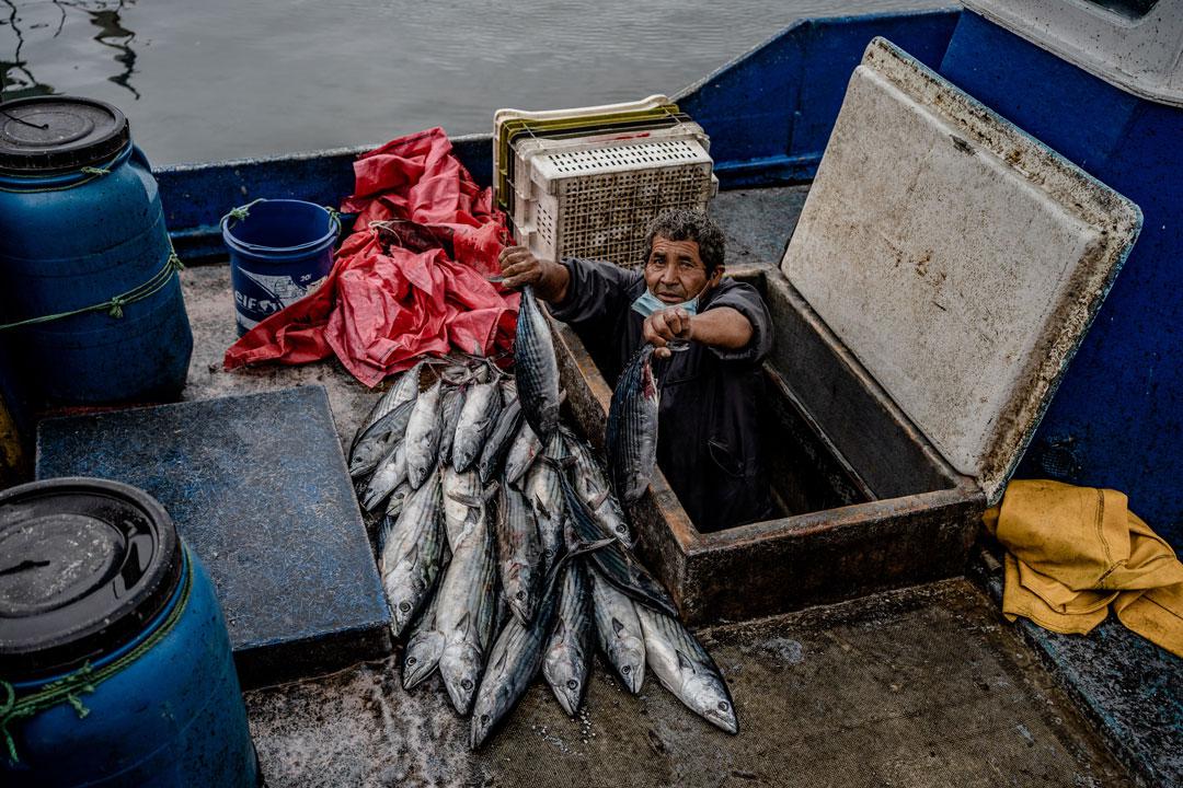 Caleta-ley-de-pesca--Foto-Franco-Miranda-3