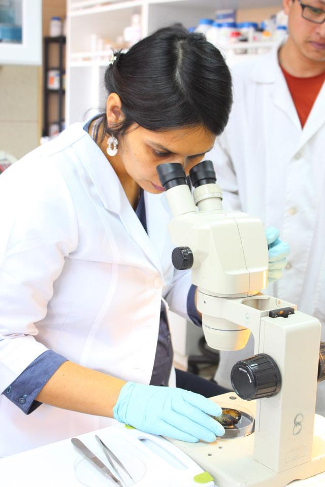 Cristina-Dorador--microscopio