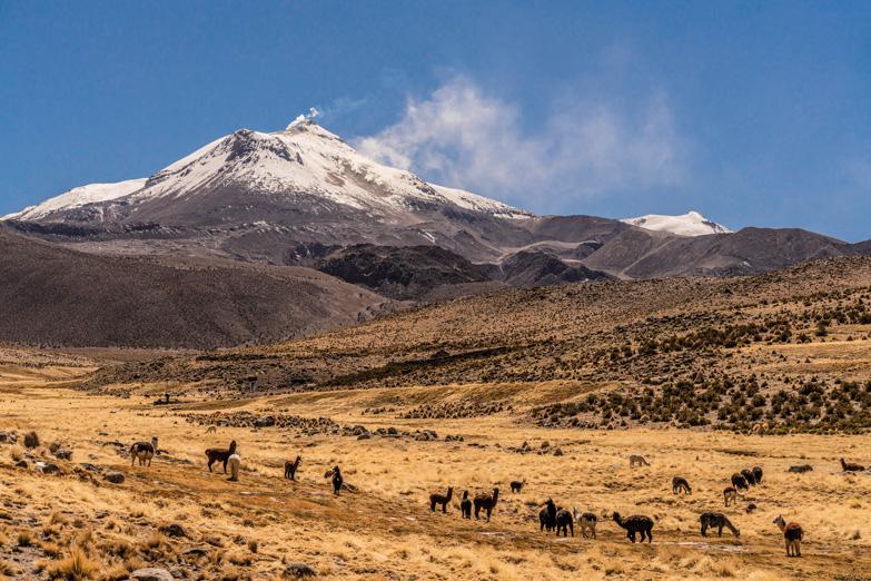 biodiversidad-del-norte