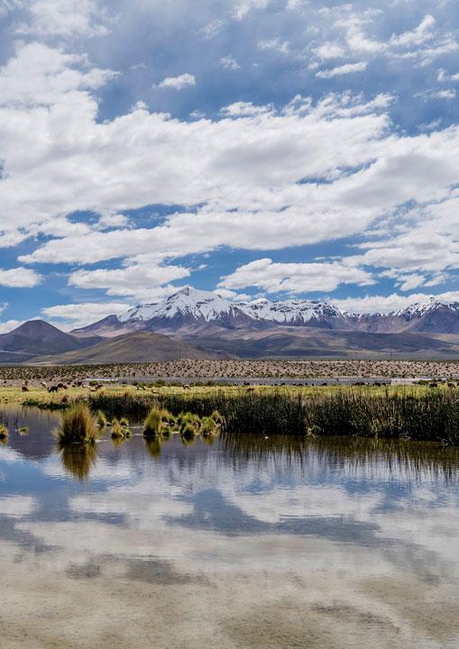 balance-hidrico-bofedal-foto-franco-miranda