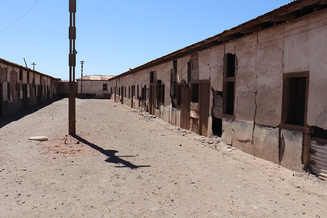 pabellón de solteros humberstone