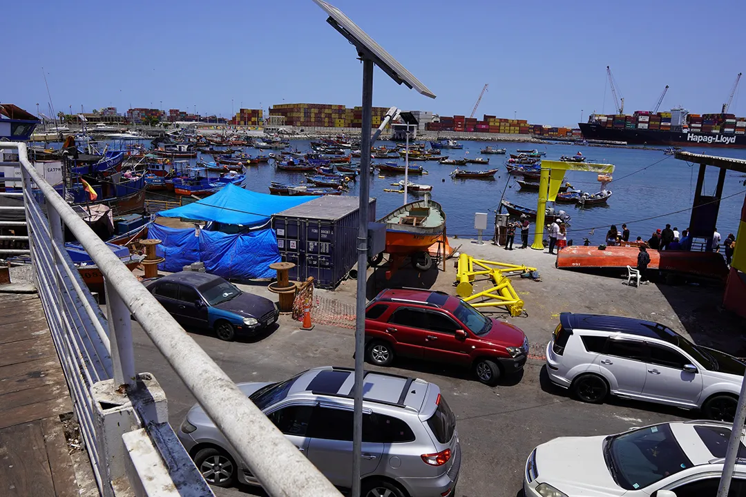 pesca foto caleta Riquelme