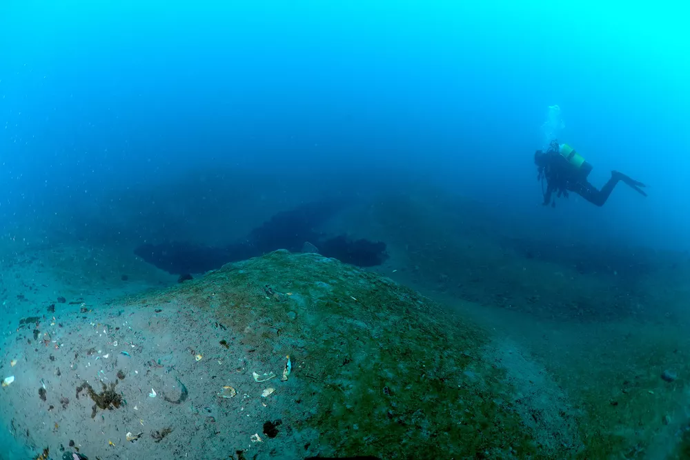 alga estudio antartica 2