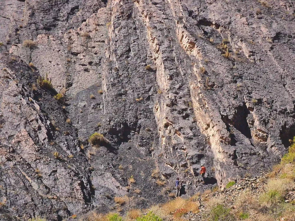 Parque Jurásico de Huatacondo 6