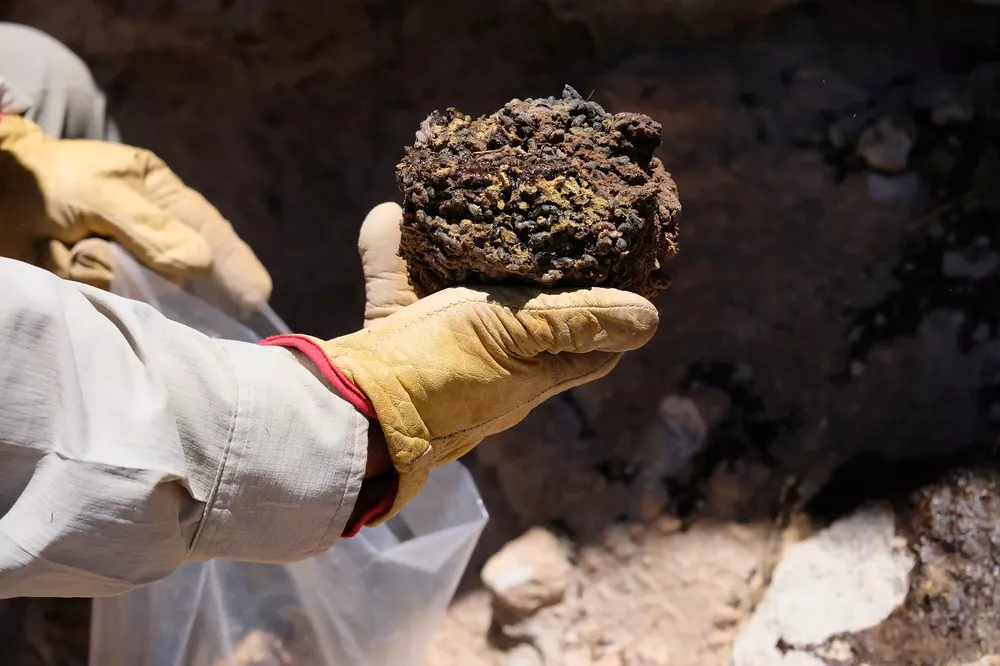 clima lluvia desierto 2 madriguera