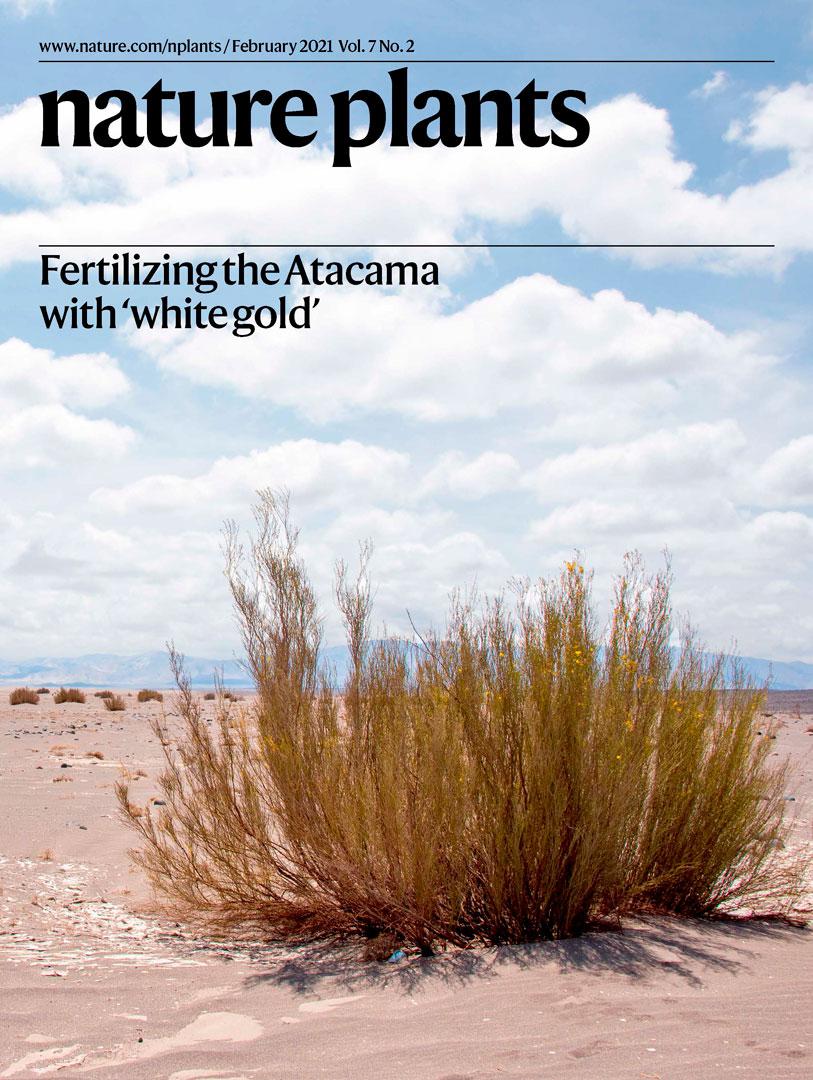 NPlants_cover_FEB21