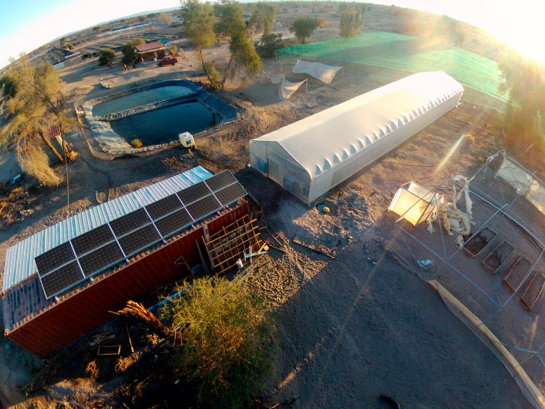 agricola-tamarugal-3