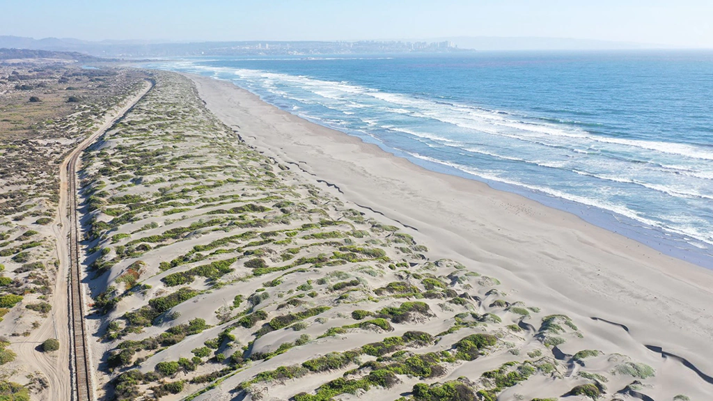 dunas ritoque Fotos Hermann Manríquez