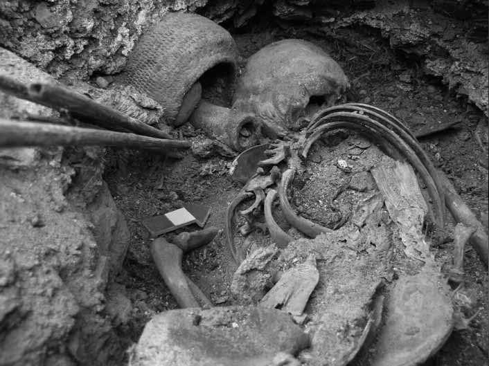 Investigando la muerte viajeros 2