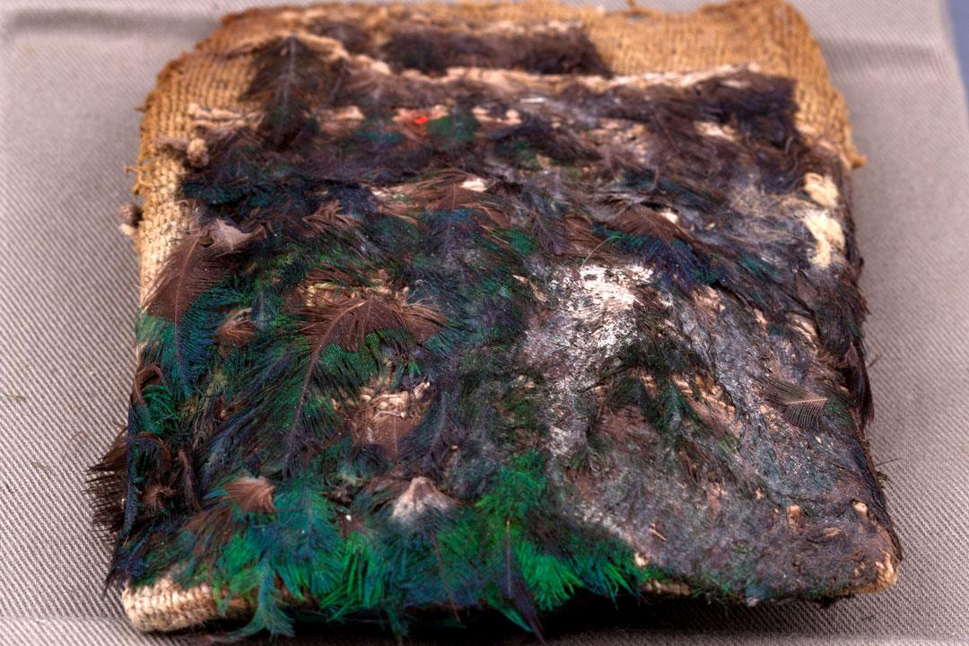 Coleccion-cerro-Esmeralda-8