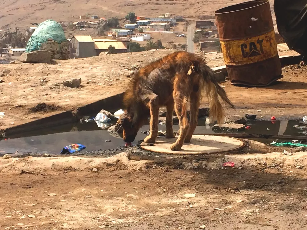 ALCANTARILLADO-PISAGUA-5