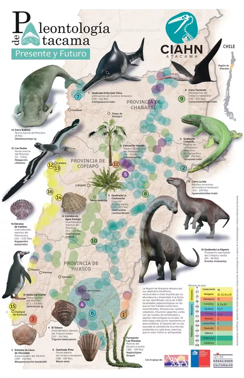 poster-pequeno-47-x-32-Atacama-paleontologia2