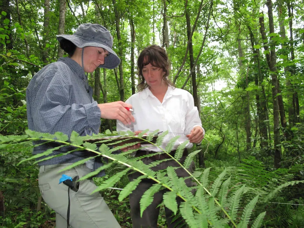 año de la ciencia 12 Trabajar en equipos multidisciplinares no es sencillo ni algo que se enseñe en las facultades de ciencias.