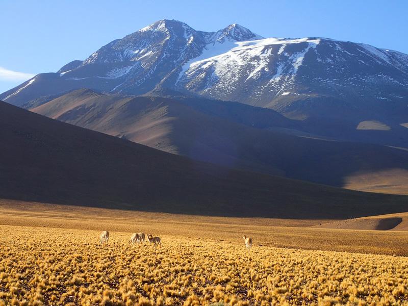 Volcán Llullaillaco, Antofagasta 