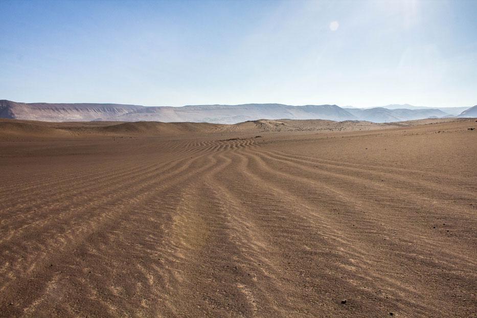 02-FIG-RASTRILLADO-SUCA-web