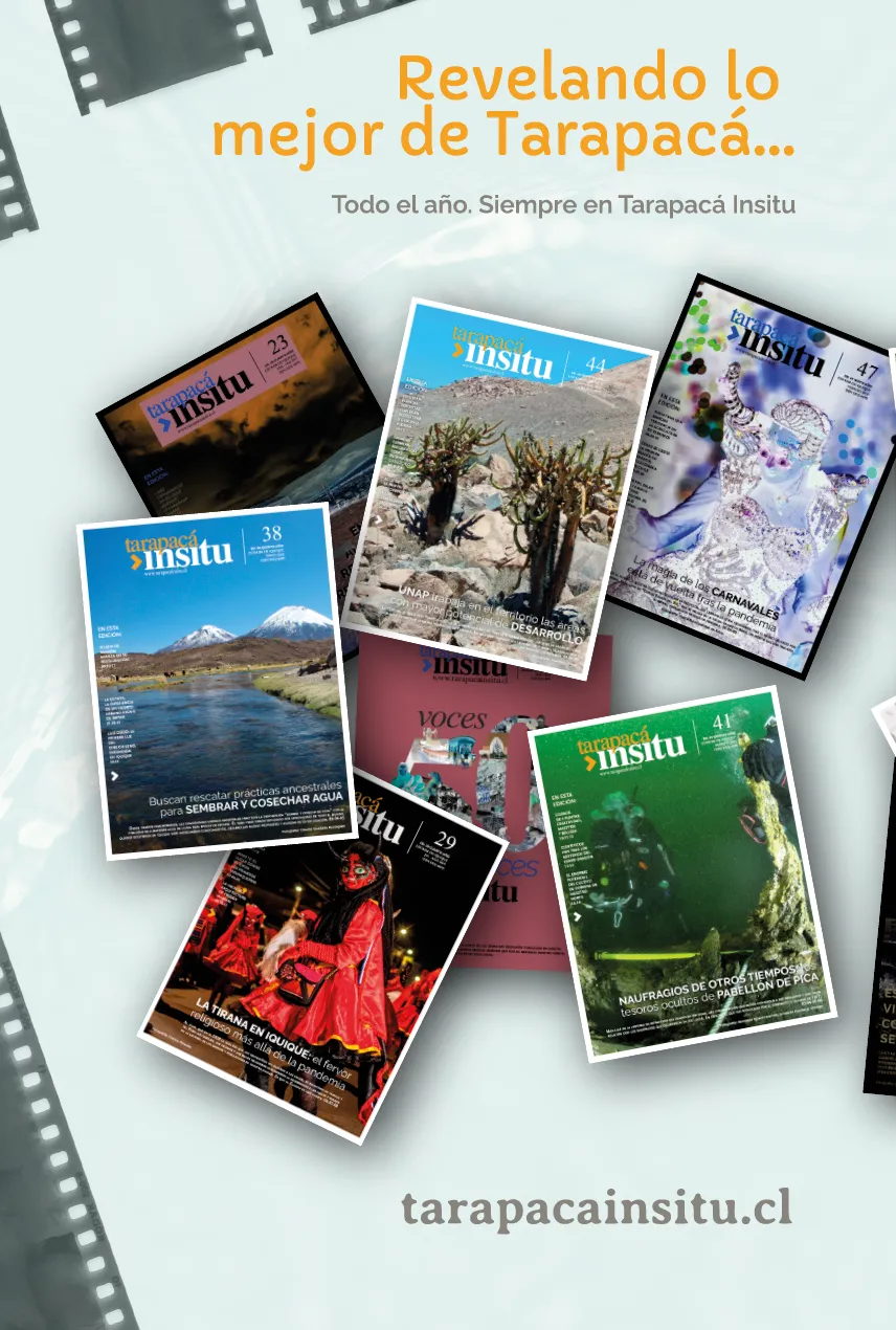 Guía Turística de Tarapacá 2023-2025 - página94