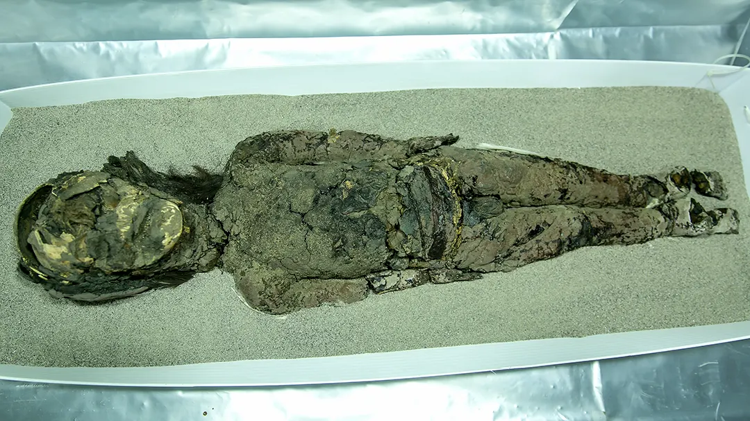 UTA Chinchorro Camarones 2017 - 065