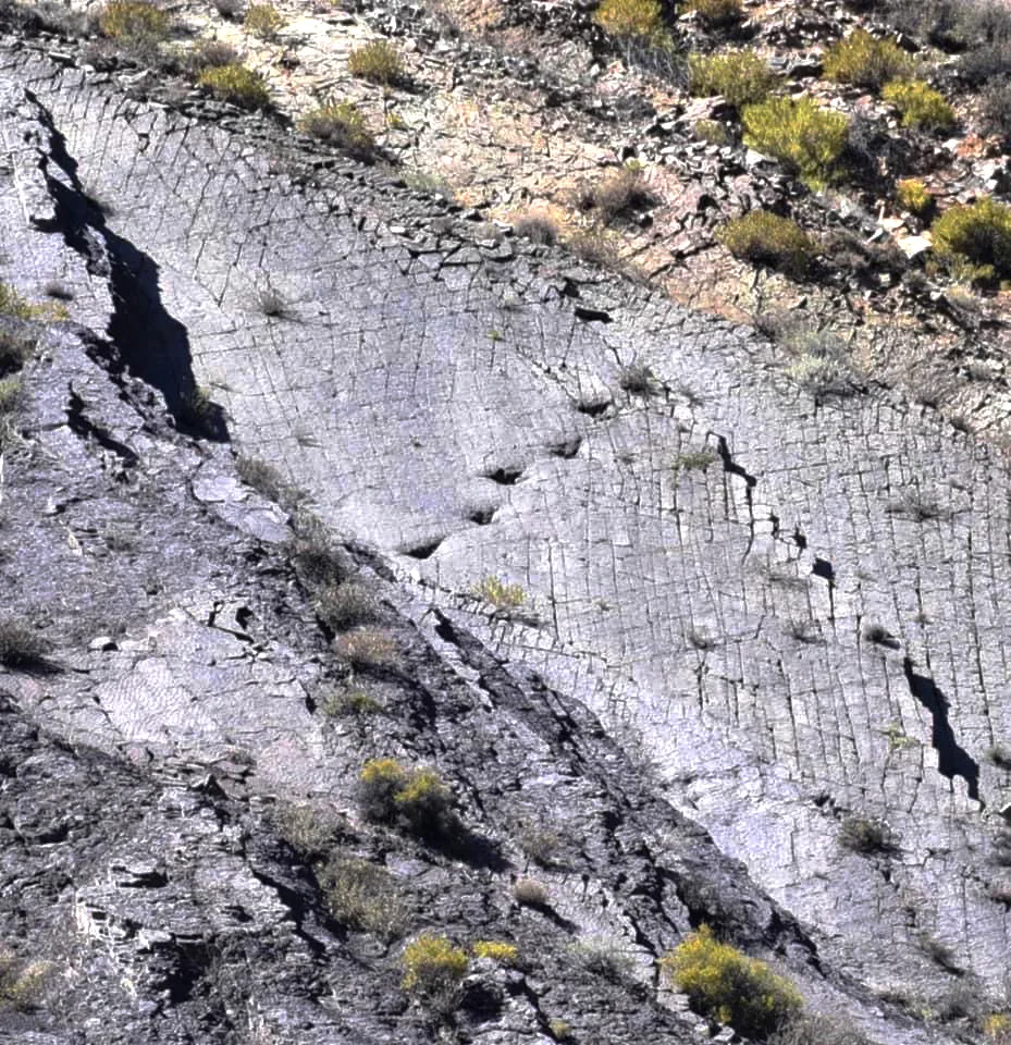 Parque Jurásico de Huatacondo 2