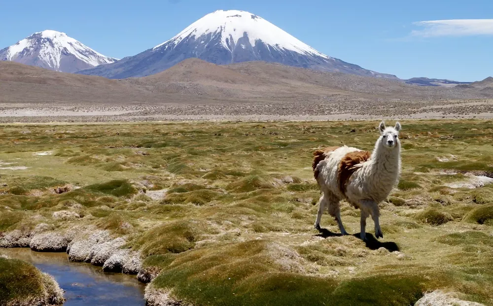 descentralización 2