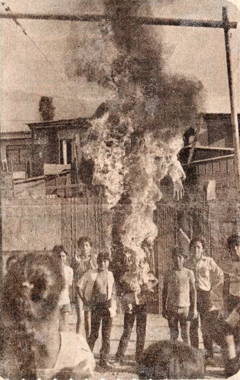 Población nueva victoria p2-4