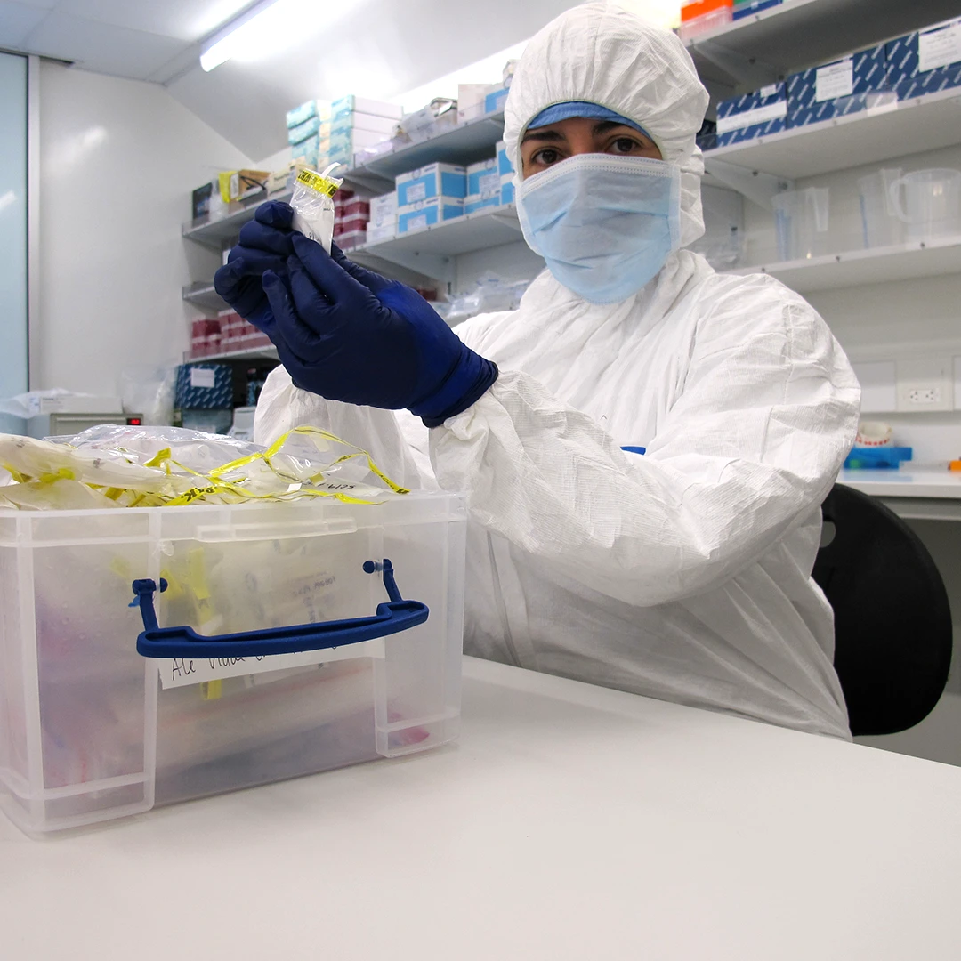 foto 6 alejandra en laboratorio maiz