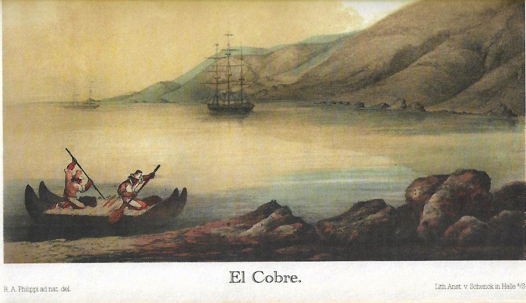 Philippi-caleta-El-Cobre-imagen-balsa-curos-de-lobo-marinos