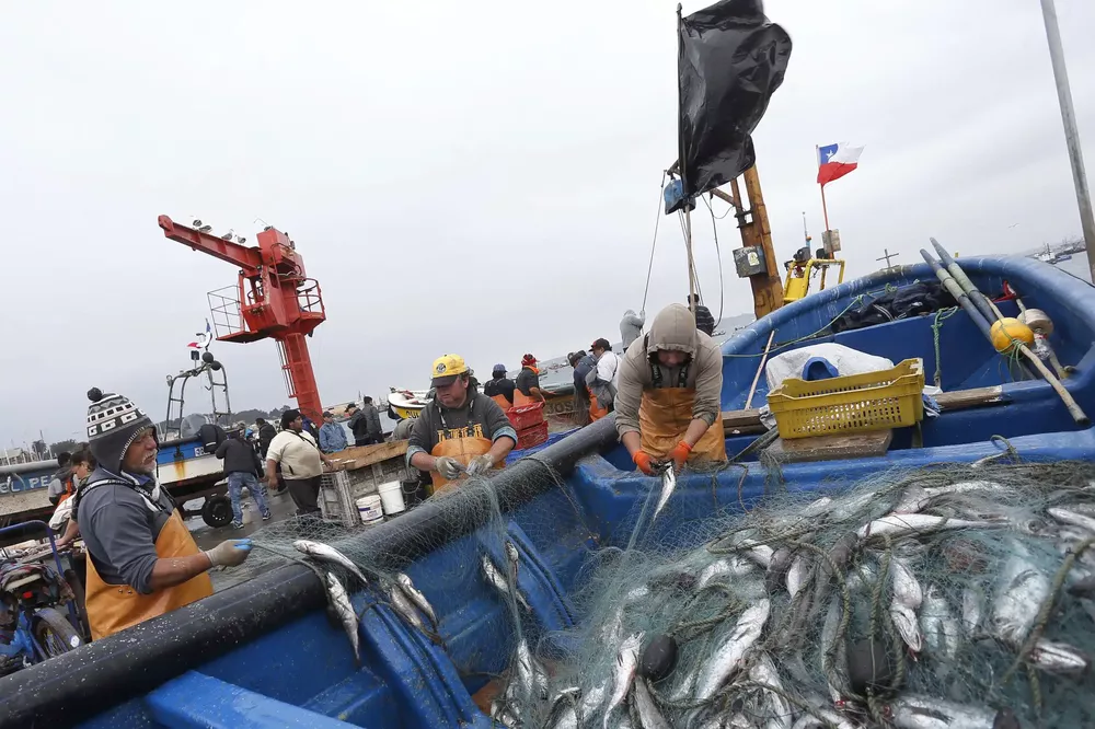 pesca arrastre merluza 5