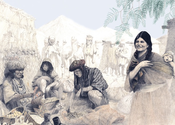 prehistoria norte grande 1