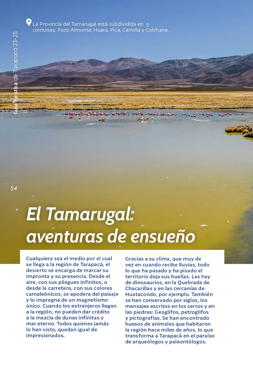 Guía Turística de Tarapacá 2023-2025 - página54