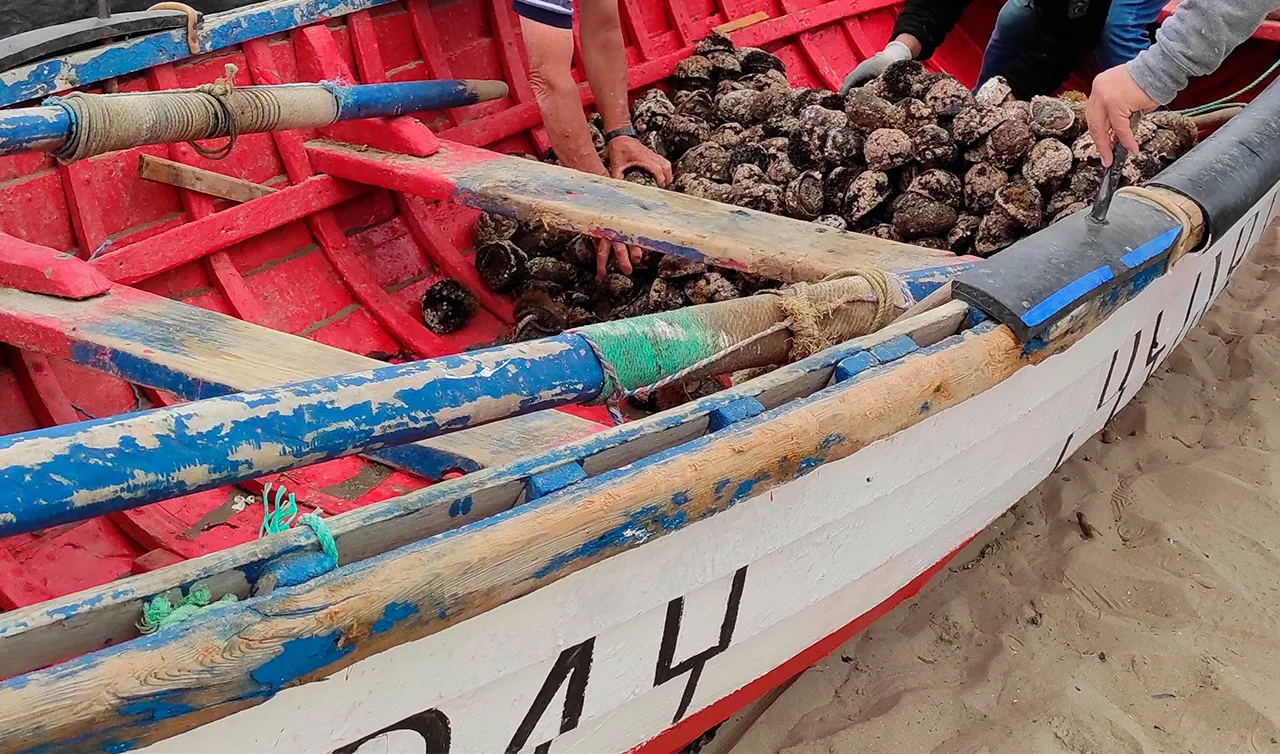 Acuicultura en chiloe 2