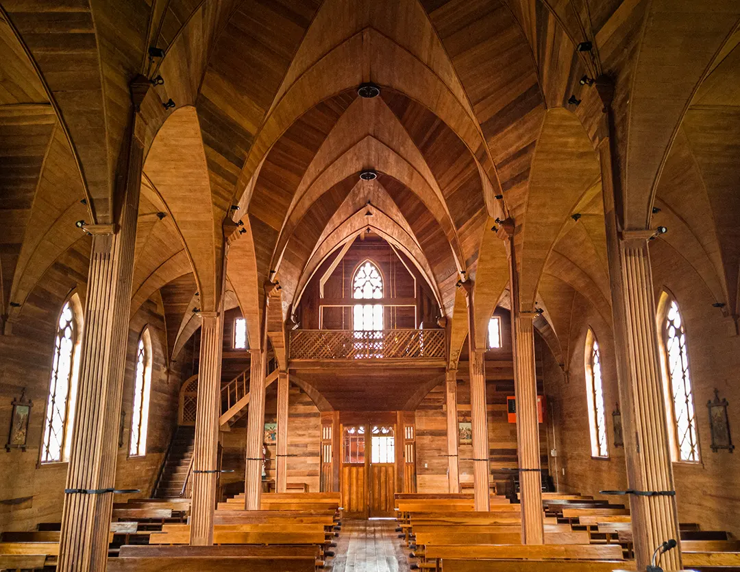 abigail P Octay-Pisagua accesible