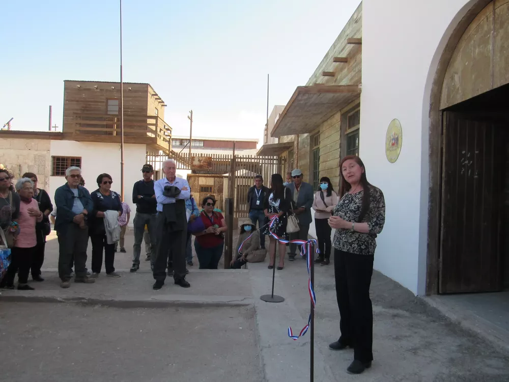 planta humberstone 4