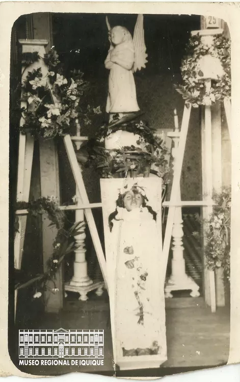postmortem Museo Regional Iquique