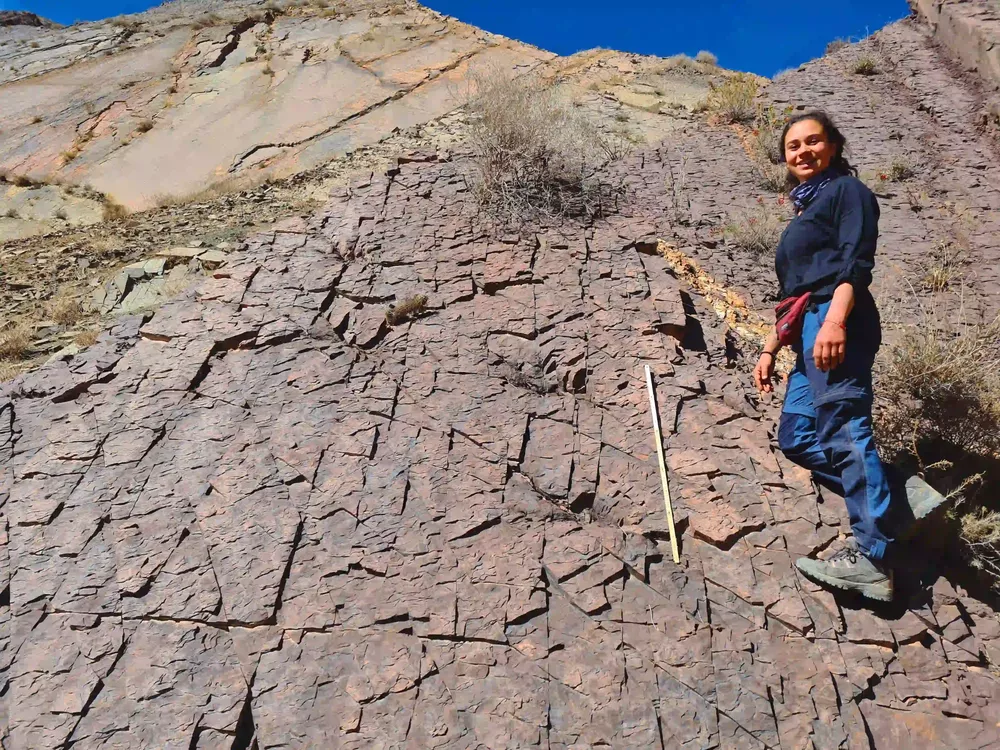 Parque Jurásico de Huatacondo 5