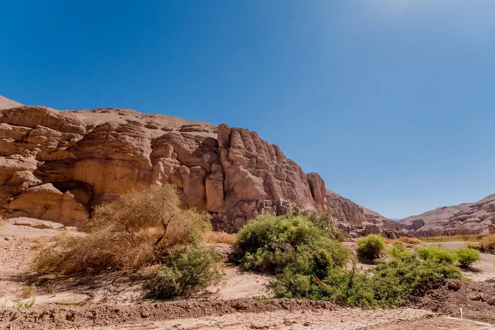 pinturas tamentica 5