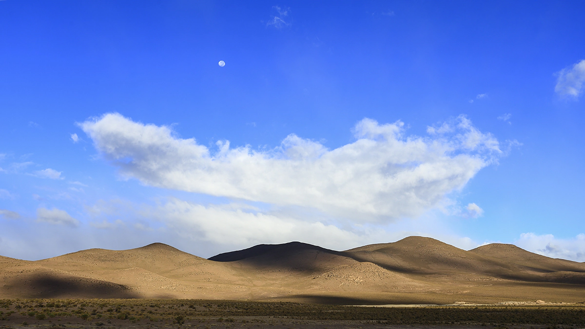 Libro visiones, alturas de tarapaca 5